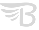 Bluberd-Logo Gray Bluberd favicon.